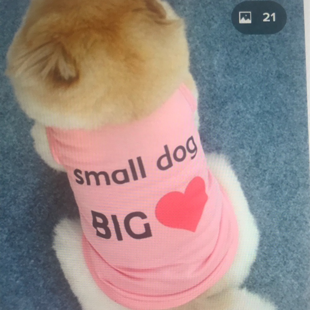 Pink dog shirt with free collar charm